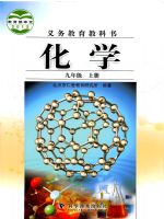 仁愛版九年級化學上冊