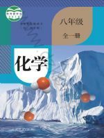 人教版八年级化学全一册