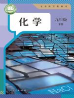 人教版九年级化学下册(2025春版)